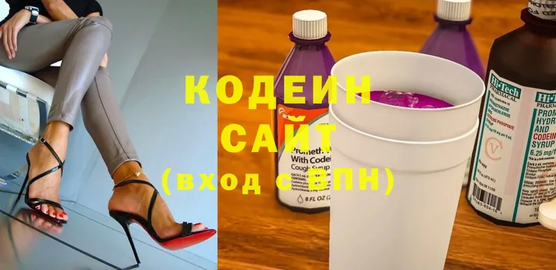 магазин продажи наркотиков  Заречный  мега как войти  Кодеиновый сироп Lean Purple Drank 