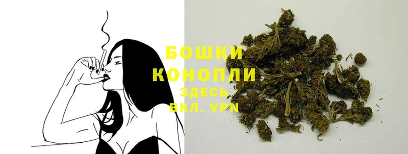 Бошки марихуана SATIVA & INDICA  ссылка на мегу ТОР  Заречный 